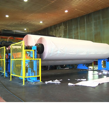 paper and pulp plant