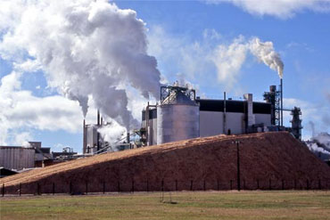 PAPER AND PULP PLANT